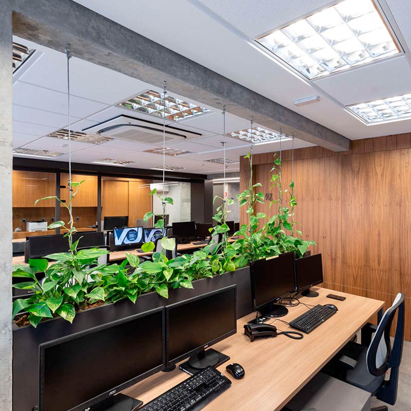 Arquitetura Corporativa: Projeto Escritório Livonius | QuadriArq